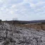 Любиково 1