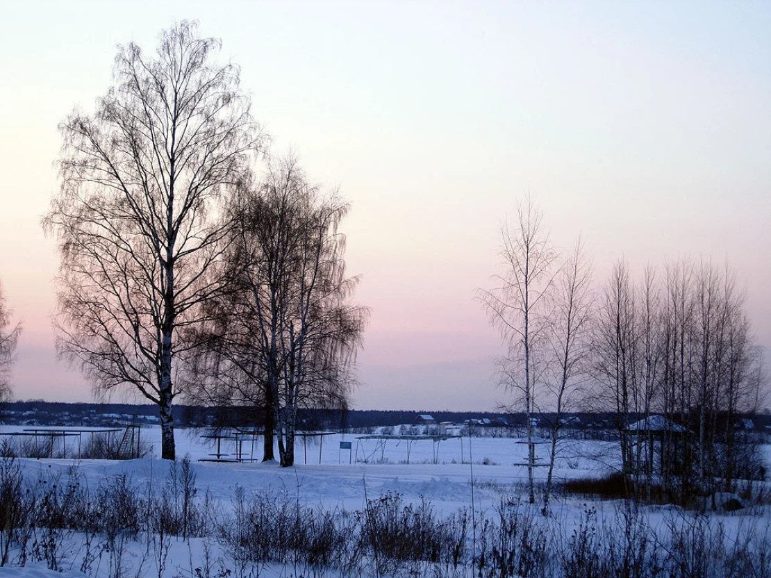 Фестиваль СЛА Конаково 2007 - Фото #7309