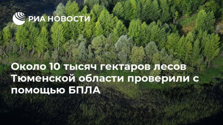 Около 10 тысяч гектаров лесов Тюменской области проверили с помощью БПЛА