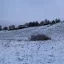 Абрамовское 5