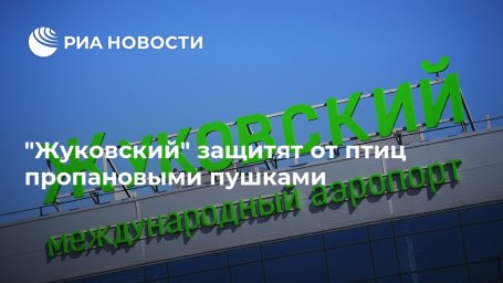 "Жуковский" защитят от птиц пропановыми пушками "Жуковский" защитят от птиц пропановыми пушками