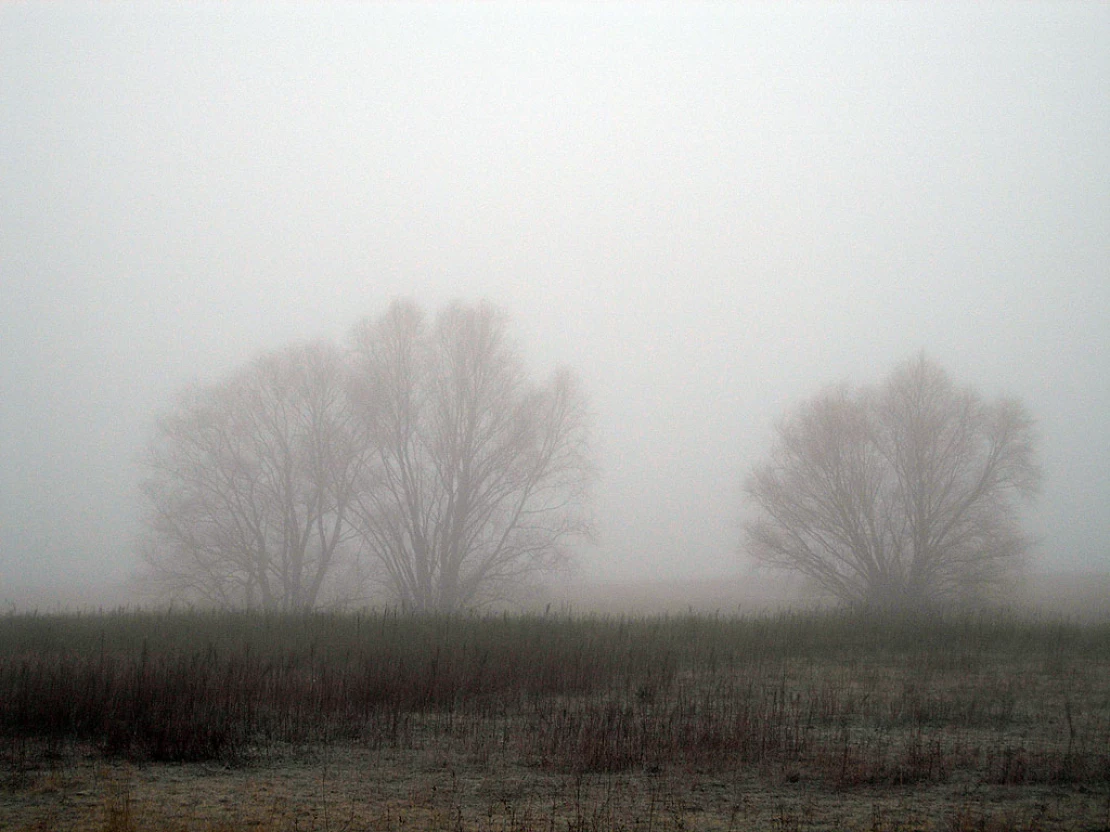 Дон 2007 - Фото #7417